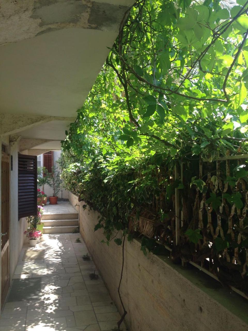 Happy Dubrovnik Centre-Free Parking Apartment Exterior photo